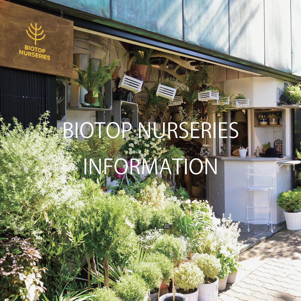 BIOTOP NURSERIES TOKYO 閉店のお知らせ